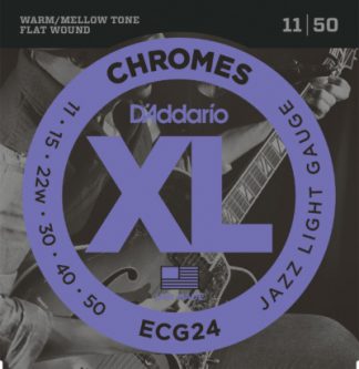 D'Addario Electric Guitar ECG Front